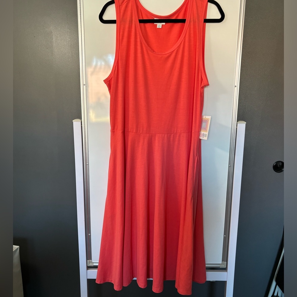 Nicki dress NWT